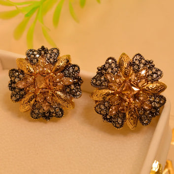 Fashionable Statement Earrings